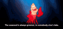 Sebastian The Little Mermaid GIF - Sebastian TheLittleMermaid Disney GIFs