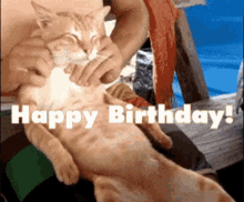 Happy Birthday Cat Freudentanz Happy Dance Gif Find On Gifer