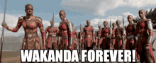 Wakanda Forever GIF - WakandaForever GIFs
