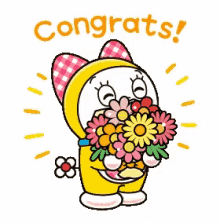 Image result for cute congratulations gif