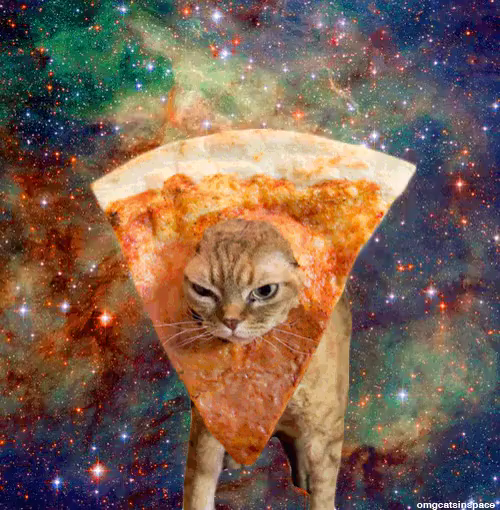 宇宙ねこ うちゅうねこ 宇宙猫 Gif Pizzacat Spacecat Discover Share Gifs