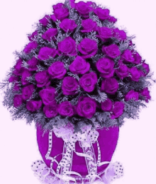Purple Flowers Gifs Tenor