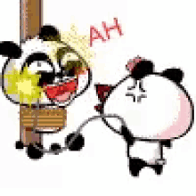 Cute Cartoon Panda Gifs Tenor