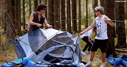 Tent GIF - Pitching A Tent Tent Camping - Discover &amp; Share GIFs
