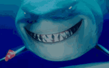 Smile Big Findingnemo GIF - FindingNemo Shark Grin GIFs