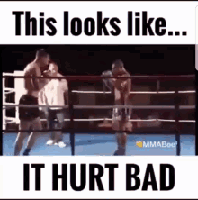 get knocked the fuck out New year gay