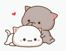 cat cute love