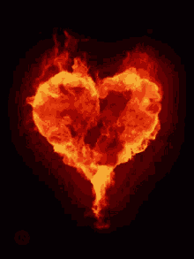 Heart On Fire Gifs Tenor