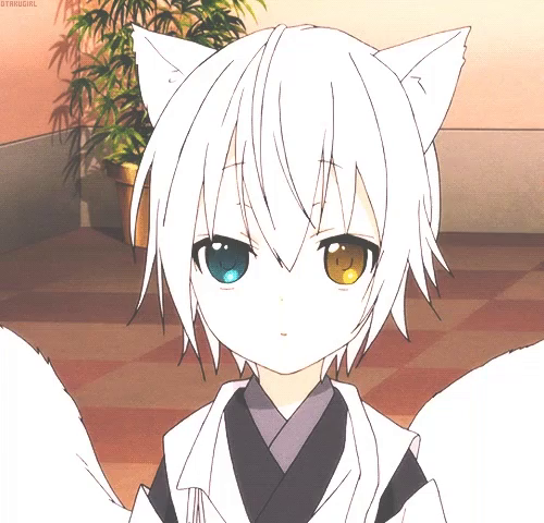 anime neko boy  materi pelajaran 10