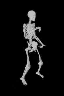 Znalezione obrazy dla zapytania: skeleton dancing gif