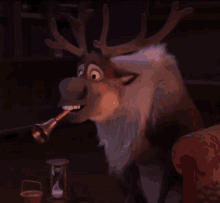 sven with carrot