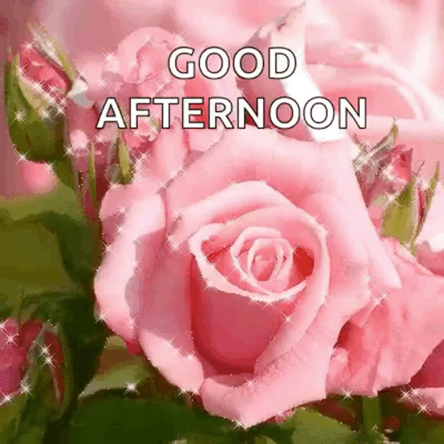 Good Afternoon Flowers Images - Good Afternoon Flower Smitcreation Com ...