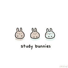 Bunnies Study GIF - Bunnies Study Work GIFs