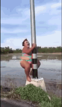 Pole Dance Pole Dancing GIF - PoleDance PoleDancing Girl GIFs