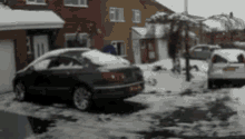 tenor.gif