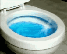 Image result for blue toilet water