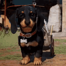 chorizo far cry 6 chorizo far cry 6