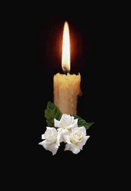 Condolence%20Candle%20GIF%20-%20Condolence%20Candle%20Dark%20-%20Discover%20&%20Share%20GIFs