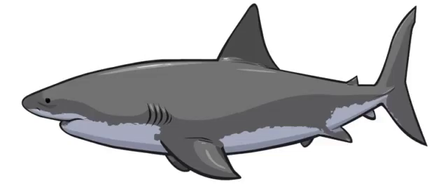 Great White Shark Animation Gifs Tenor