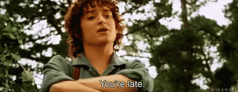 LOTR You're Late GIF