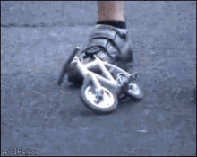 Mini Bike GIFs | Tenor