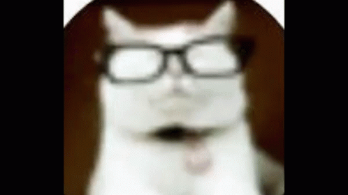 untitled.gif
