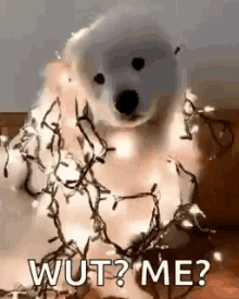 Cartoon Christmas Dog Gif - Https Encrypted Tbn0 Gstatic Com Images Q