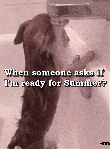 Ready For Summer Are You Ready For Summer Gif Readyforsummer Areyoureadyforsummer Whensomeoneasks Discover Share Gifs