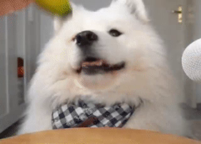 Post reply image