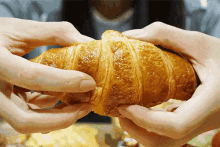 Image result for gif croissant