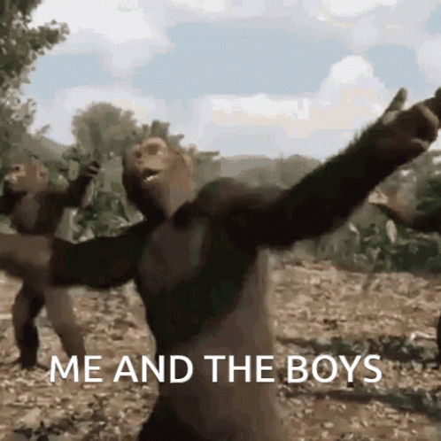 untitled.gif