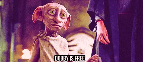Dooby Is Free GIF - DoobyIsFree - Discover & Share GIFs