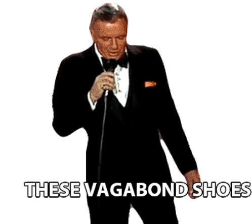 vagabond shoes new york