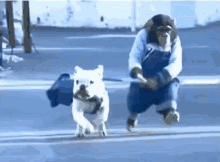 Dog Bull Dog GIF - Dog BullDog Run GIFs
