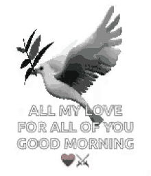 Good Morning Dove GIF - GoodMorning Dove Peace GIFs