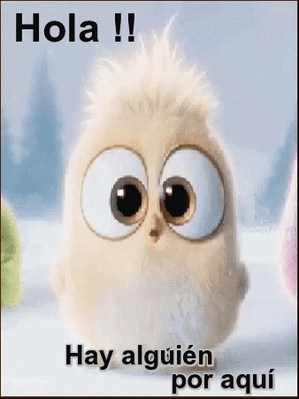 Pinguino recien nacido