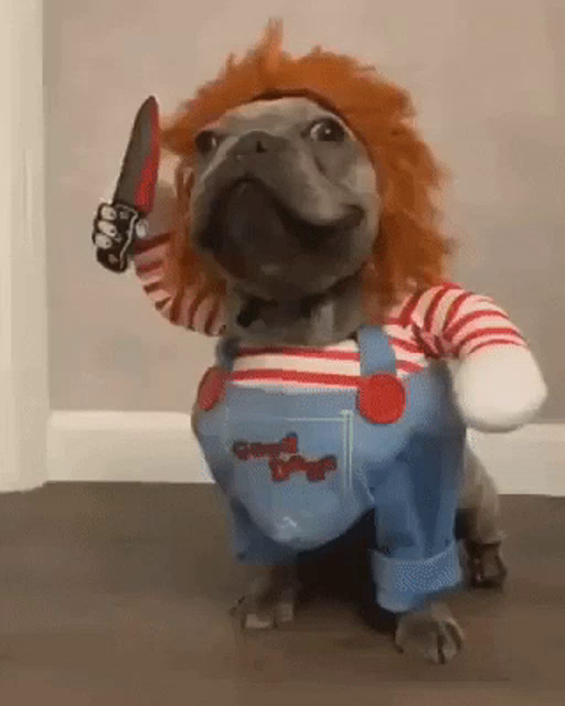 Download Funny Halloween Dogs Gifs Tenor