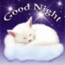 Goodnight Cats GIFs | Tenor