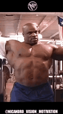 Lightweight Baby Ronnie Coleman Gifs Tenor