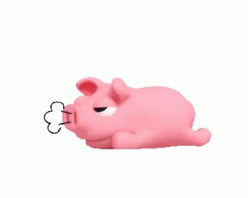 gif pig funny moving gif images adult animals
