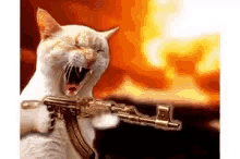 Kitty Machine Gun GIF - Kitty MachineGun AK45 GIFs