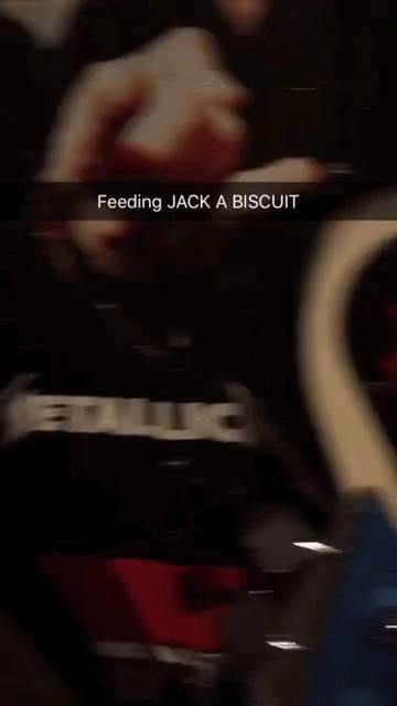 Son Of A Biscuit Eating Bulldog Gifs Tenor