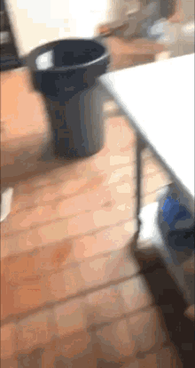 Funny Fail GIFs | Tenor