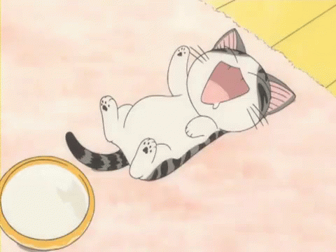 This Is My Belly - Belly GIF - Nichijou Cat Anime - Discover & Share GIFs