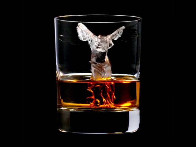 Whisky Gifs Tenor