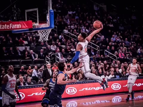 dsj dunk