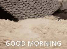 Good Morning Wake Up GIF - GoodMorning WakeUp CutePuppy GIFs