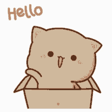 Hello Cat GIFs | Tenor