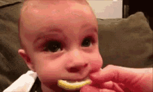 Funny Baby Eating Lemon GIFs | Tenor