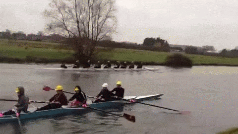 Image result for rowing fail gif